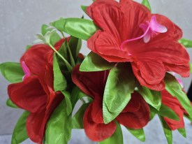 Ramo 5 claveles grandes con mariposa